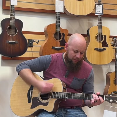 Taylor 224ce-K DLX (Acoustic-Electric Guitar)